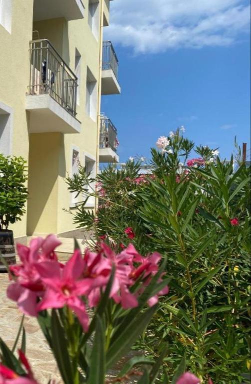 Byala Friendy Sea Apartaments Byala (Varna) Exterior foto